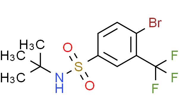 4-溴-N-叔丁基-3-(三氟甲基)苯磺酰胺
