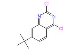 2,4-DICHLORO-7-(1,1-DIMETHYLETHYL)QUINAZOLINE