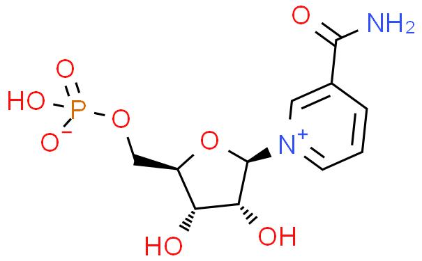 β-烟酰胺单核苷酸
