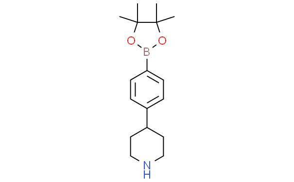 4-(4-(4,4,5,5-四甲基-1,3,2-二氧硼戊环-2-基)苯基)哌啶