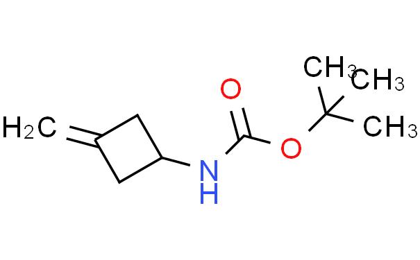 氨基甲酸(3 - 亚甲基环丁基) -,1,1 - 二甲基乙基酯