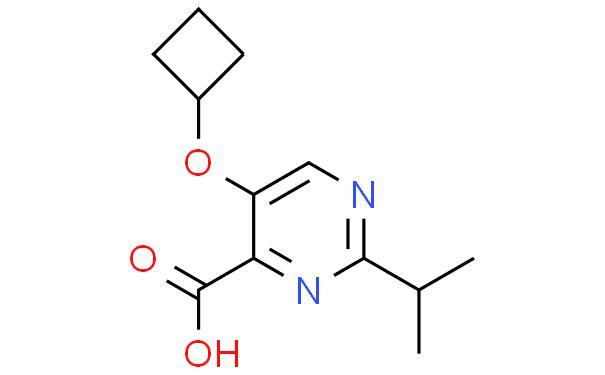 5-cyclobutoxy-2-(propan-2-yl)pyrimidine-4-carboxylic acid