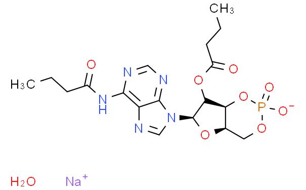 二丁酰环磷腺苷钠