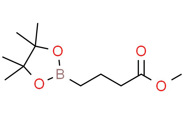 4-(4,4,5,5-四甲基-1,3,2-二氧硼杂环戊烷-2-基)丁酸甲酯