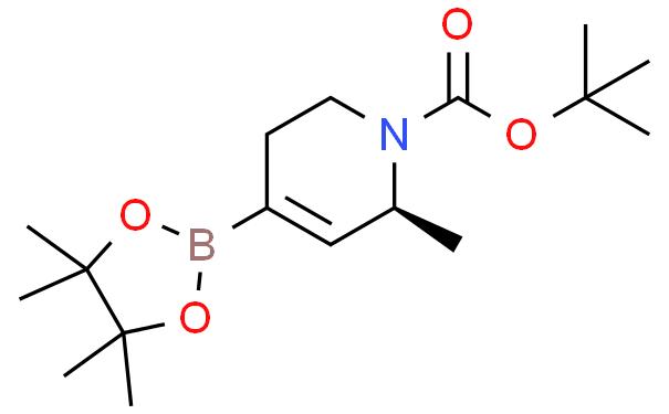 (S)-6-甲基-4-(4,4,5,5-四甲基-1,3,2-二氧硼杂环戊烷-2-基)-3,6-二氢吡啶-1(2H)-羧酸叔丁酯