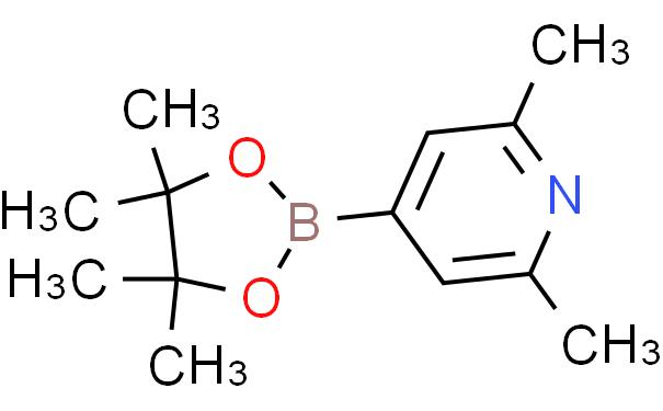 2,6-二甲基吡啶-4-硼酸频那醇酯