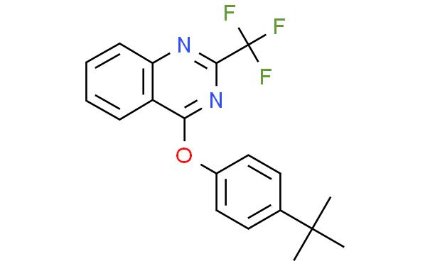 4-(TERT-BUTYL)PHENYL 2-(TRIFLUOROMETHYL)-4-QUINAZOLINYL ETHER
