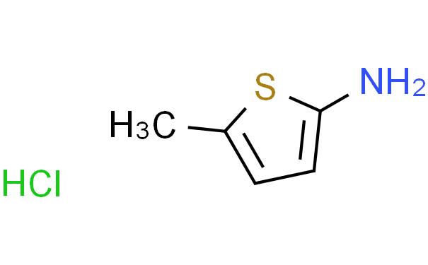5-甲基噻吩-2-胺盐酸盐