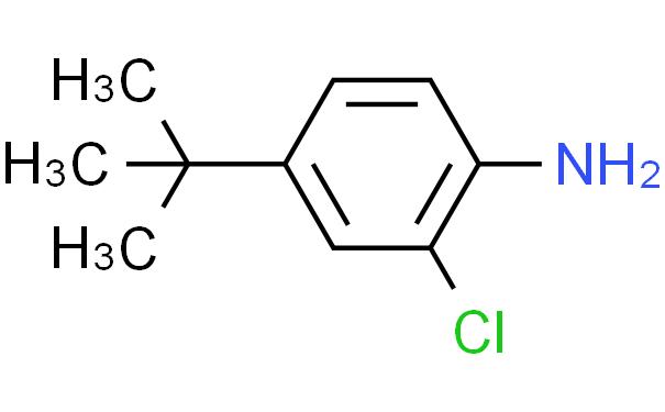 2-氯-4-叔丁基苯胺