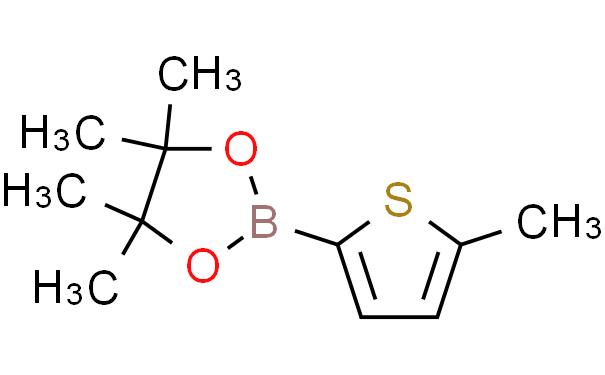 5-Methylthiophene-2-boronic acid pinacol ester, 95%