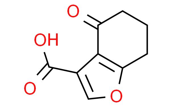 4-OXO-4,5,6,7-TETRAHYDROBENZO[B]FURAN-3-CARBOXYLIC ACID